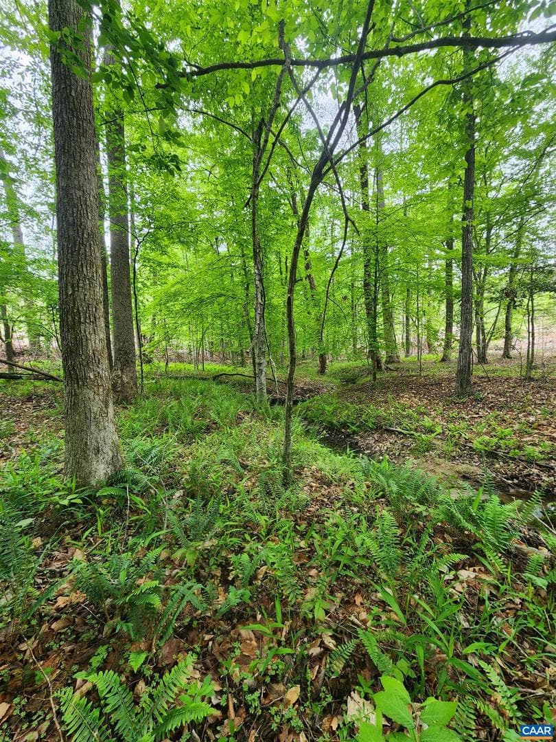 295 Hickory Hollow Ln photo 36