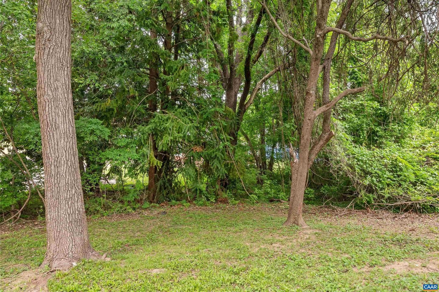 108 Vaughan Dr photo 33