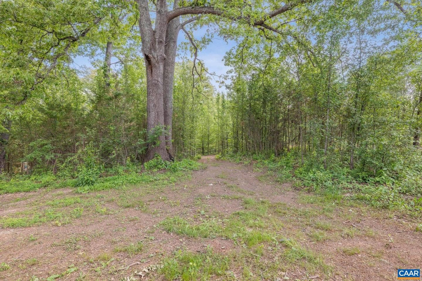 1202 Matthew Mill Rd photo 26