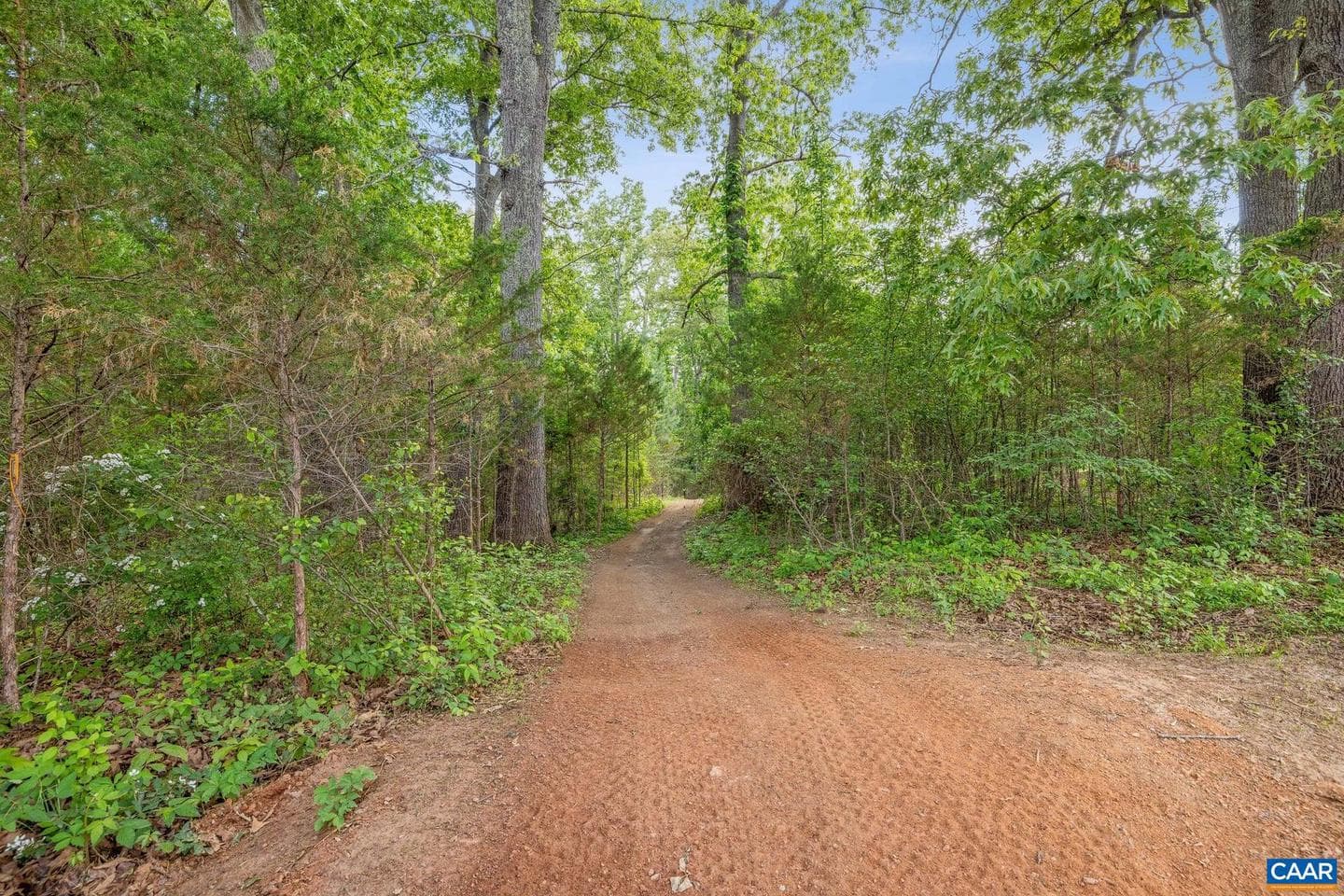1202 Matthew Mill Rd photo 27