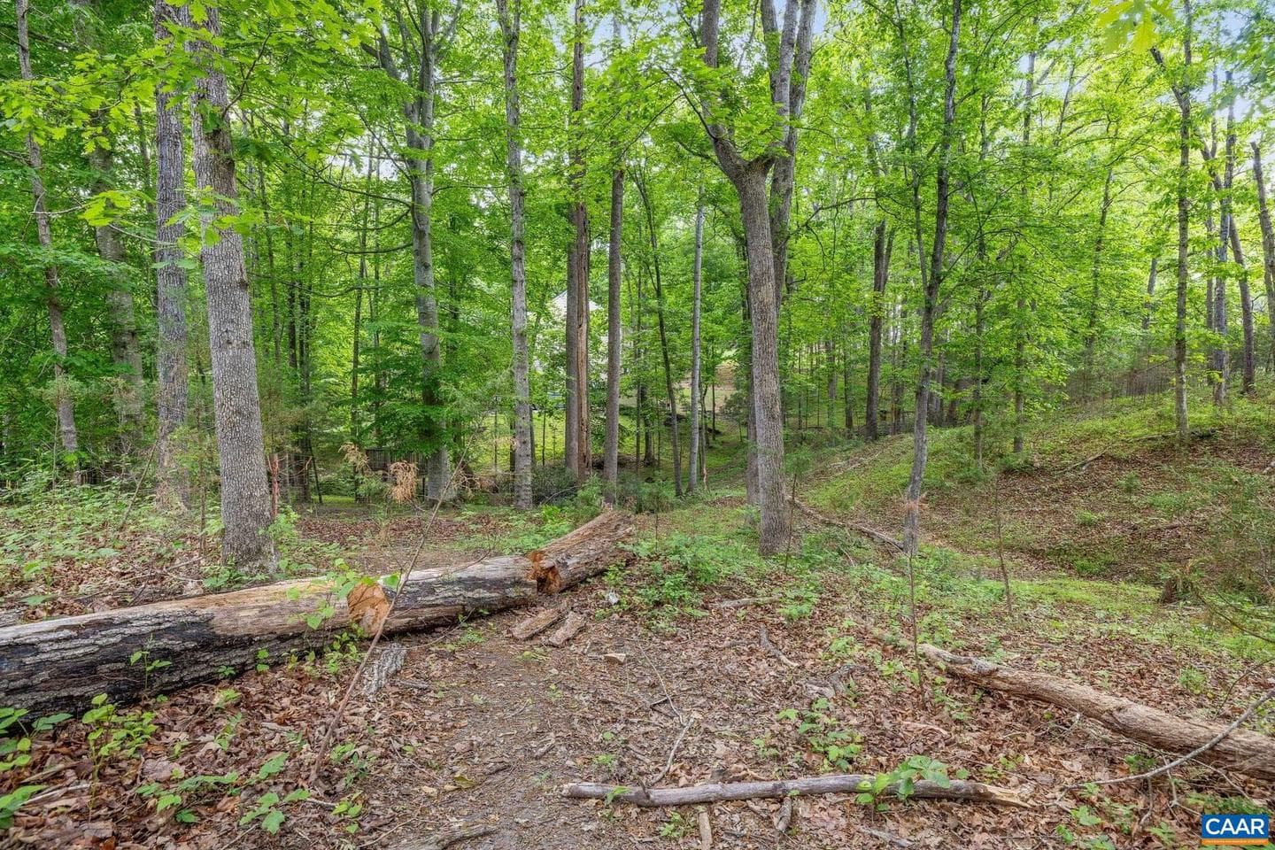 1202 Matthew Mill Rd photo 28