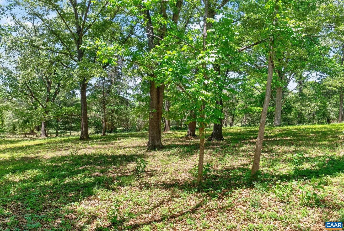 4362 Ivy Rd photo 49