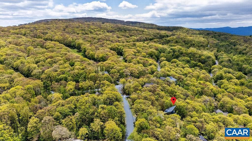 45 Timber Camp Dr photo 58