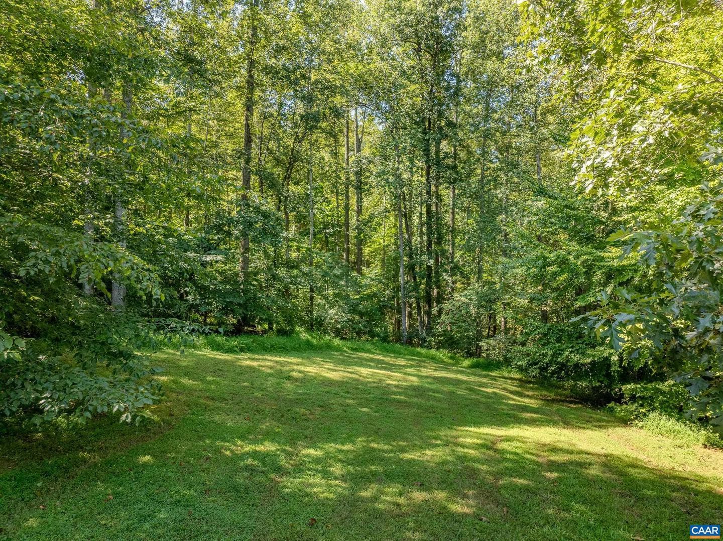 395 Ivy Vista Dr photo 71