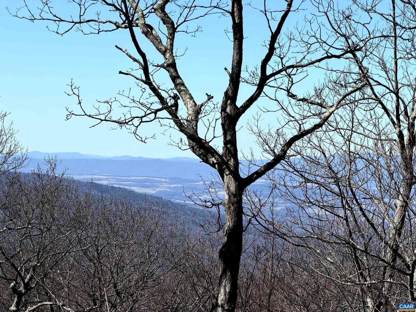 45 Ravens Roost Ln photo 4