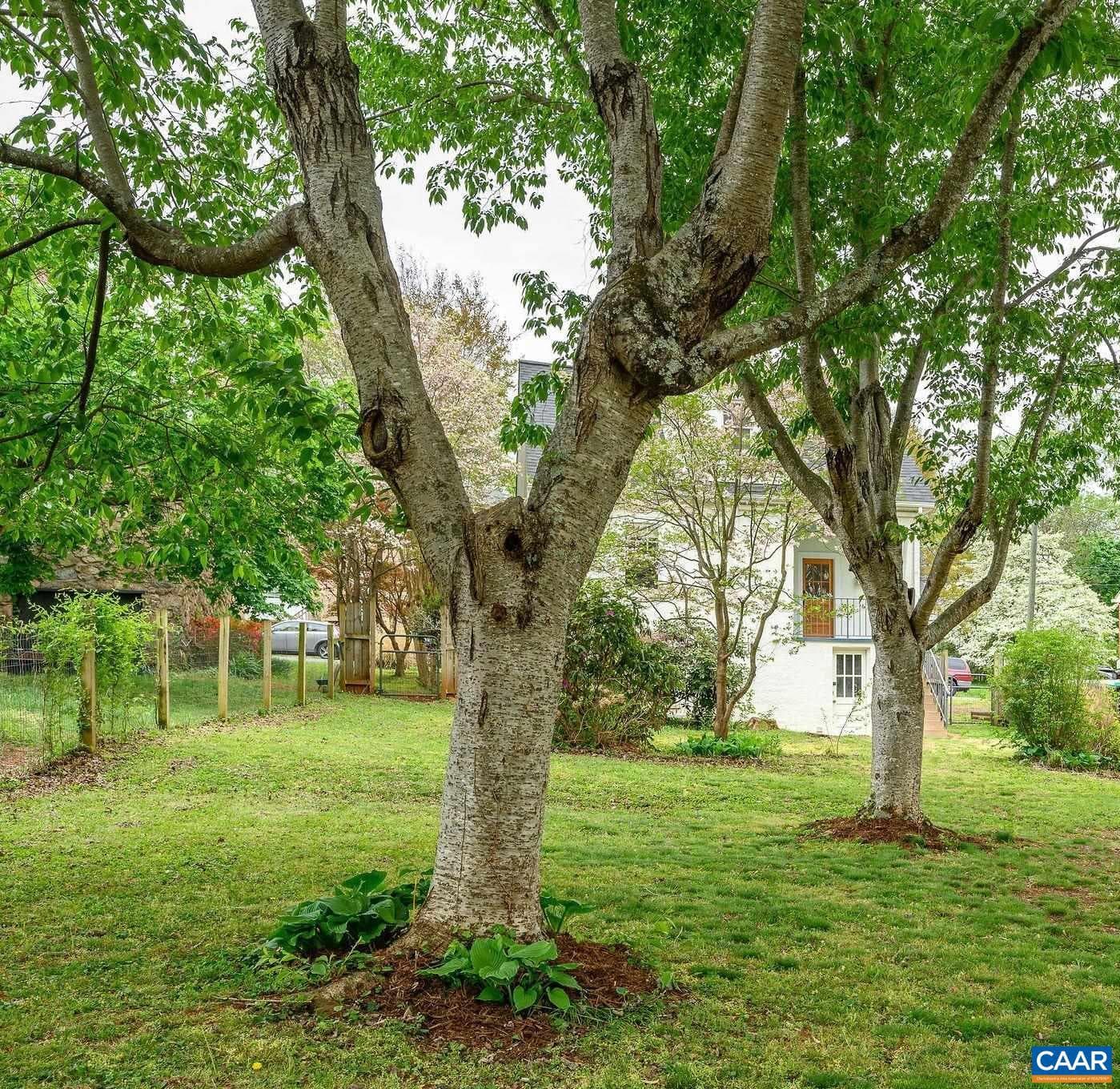 207 Todd Ave photo 28