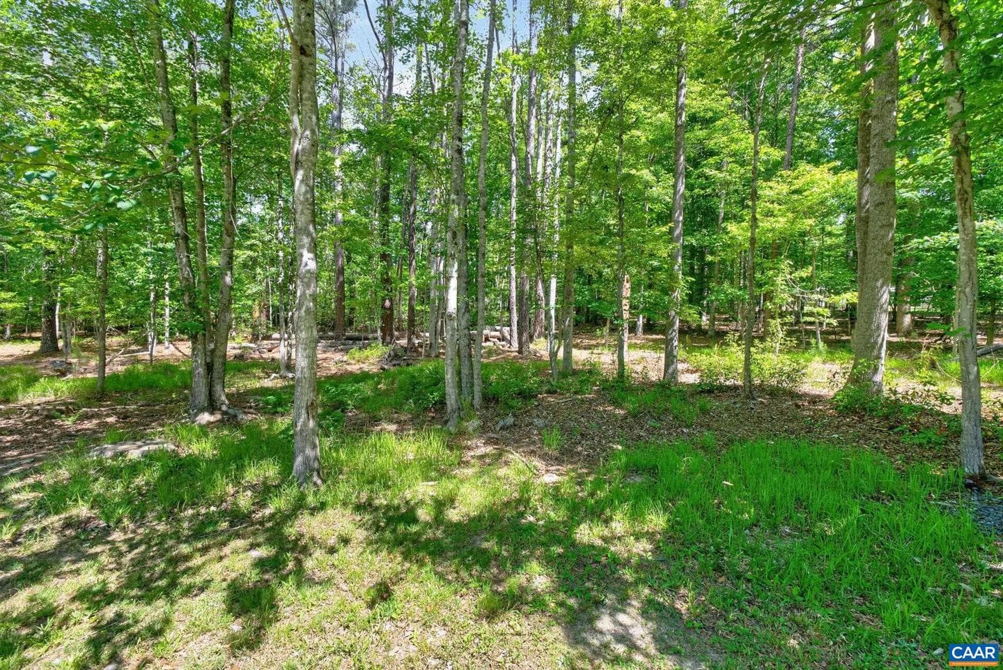 504 Willow Ridge Rd photo 34