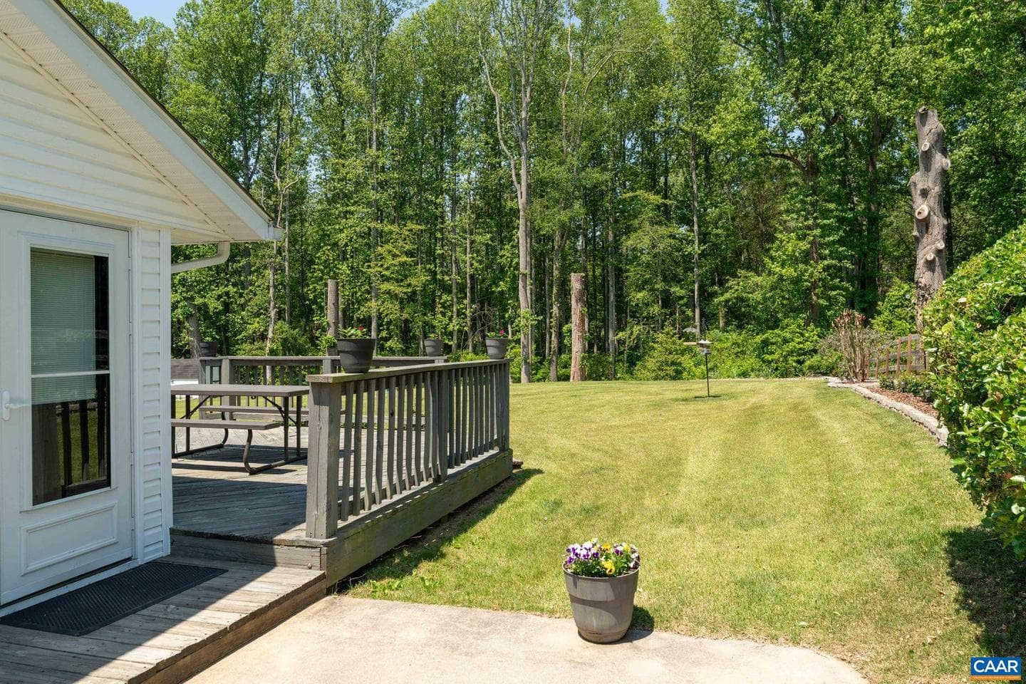 355 Whitethorn Ct photo 6