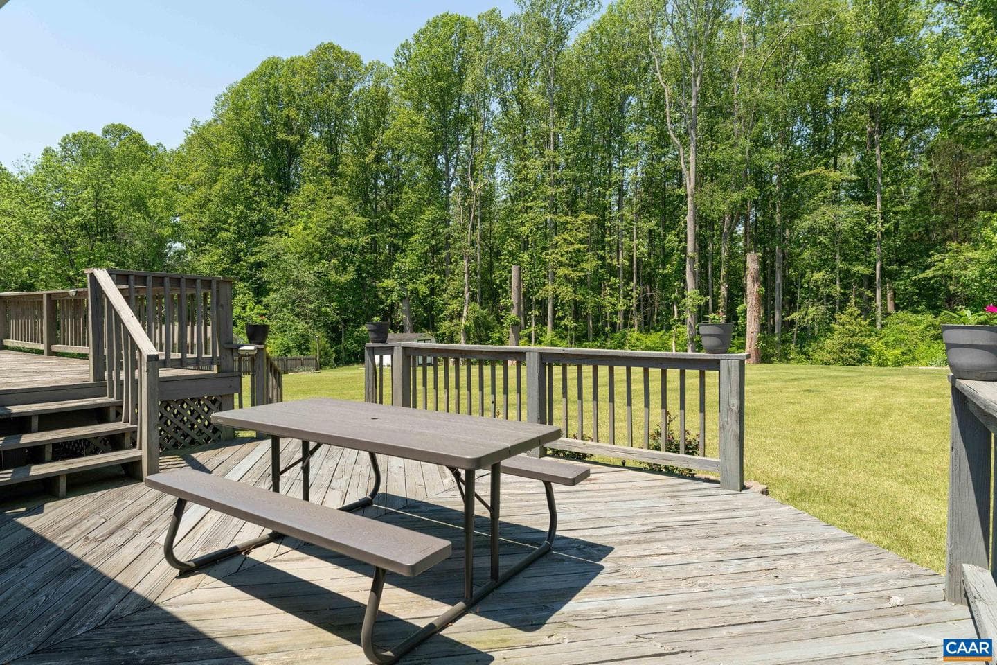 355 Whitethorn Ct photo 7