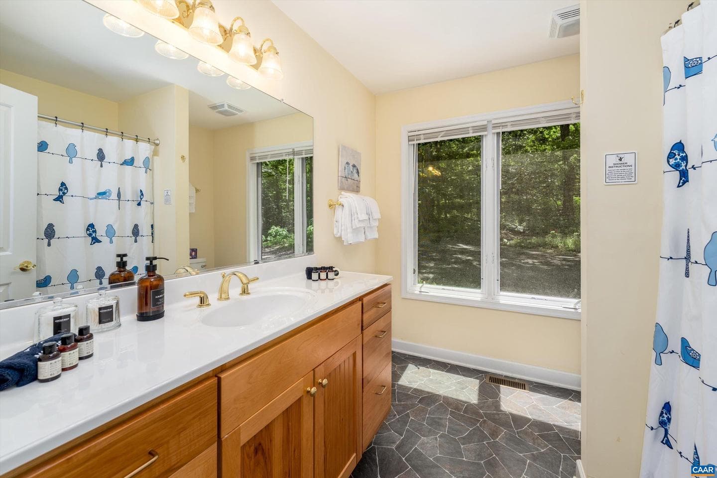 1244 Blue Ridge Dr photo 41