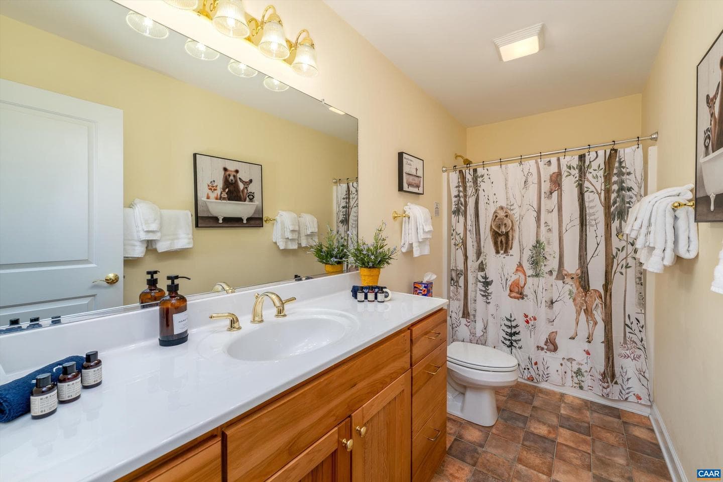 1244 Blue Ridge Dr photo 55