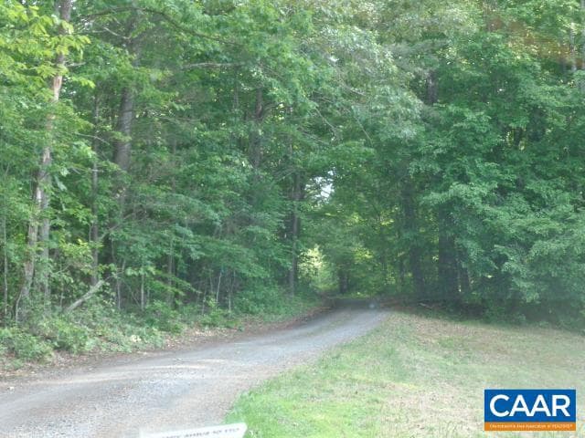497 The Pines Ln photo 24