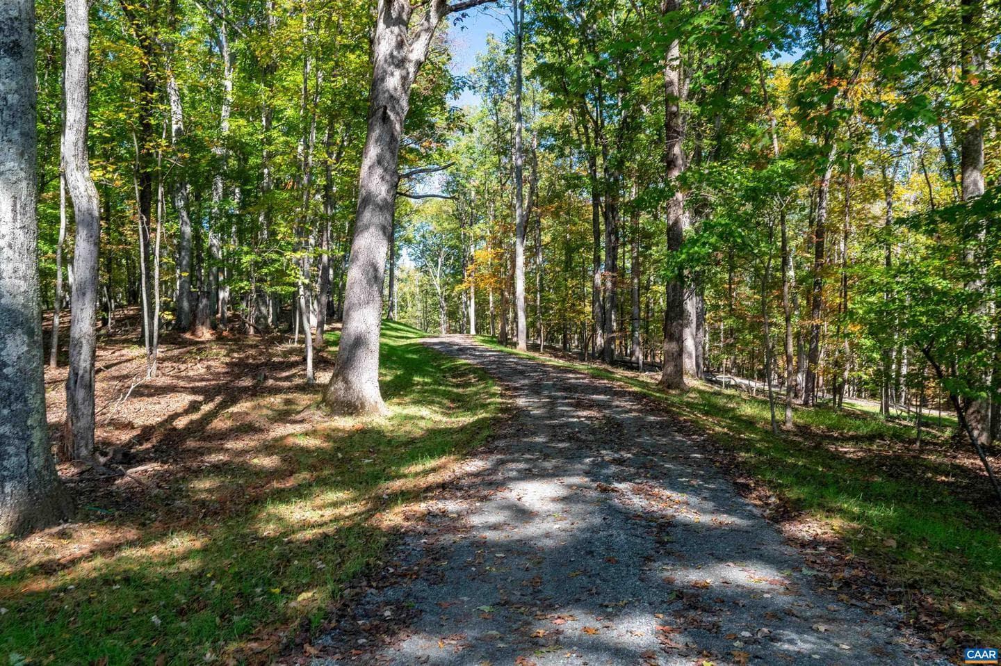 3 Dick Woods Rd photo 23