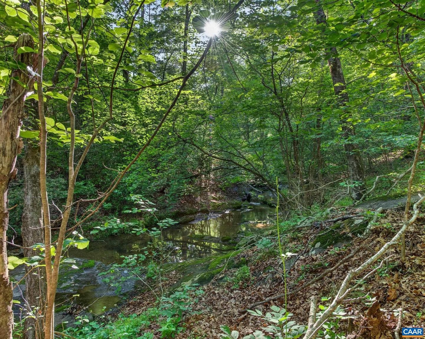 2200 Rocky Run photo 55