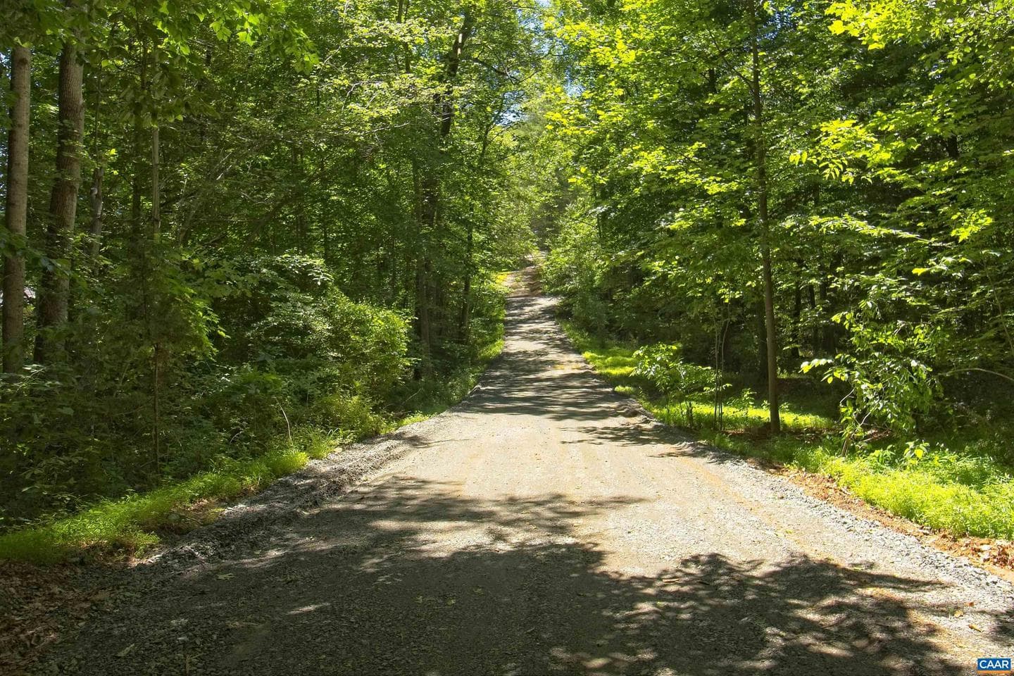 135 Iroquois Trl photo 51