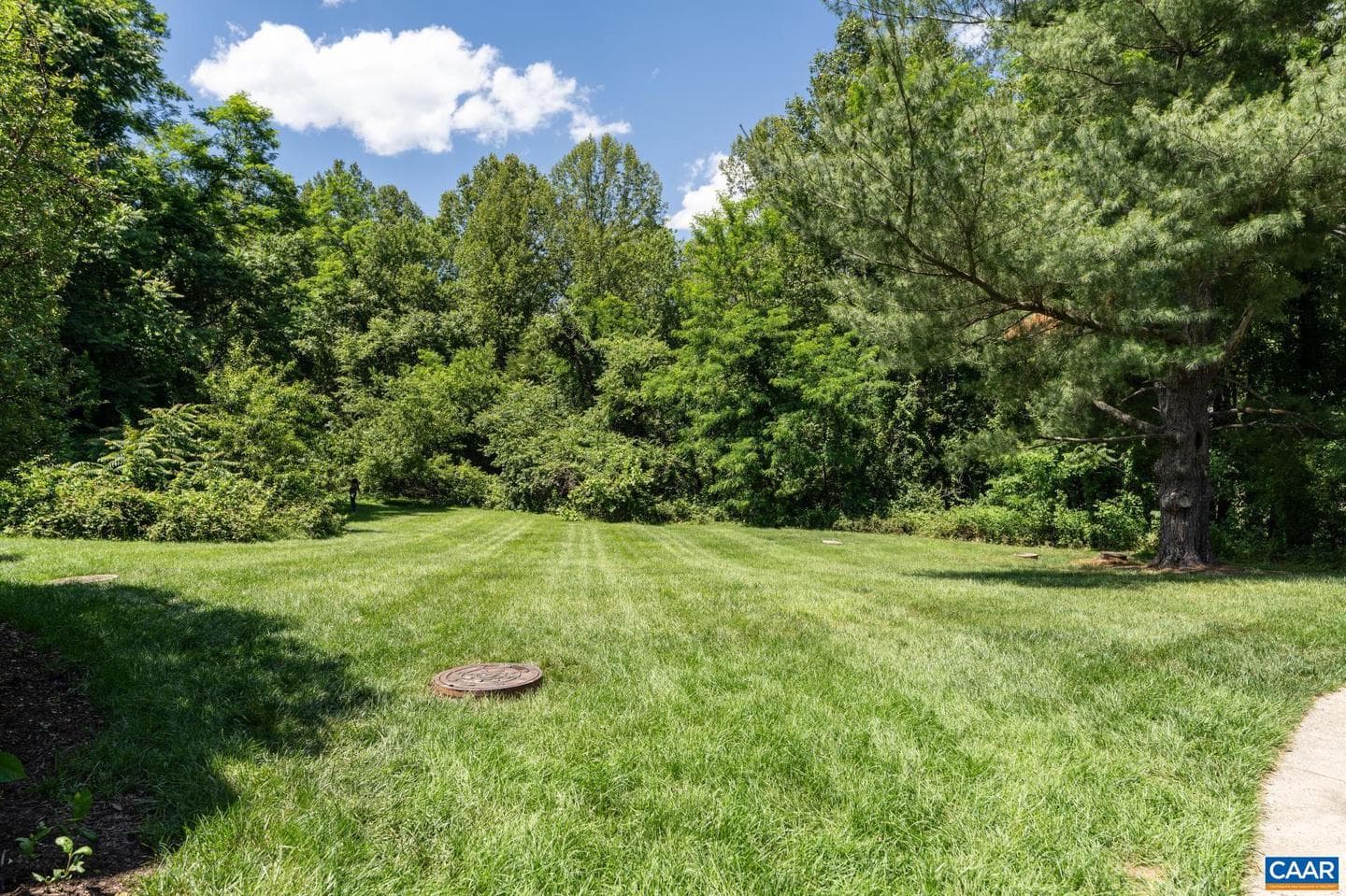 138 Green Turtle Ln #11 photo 30