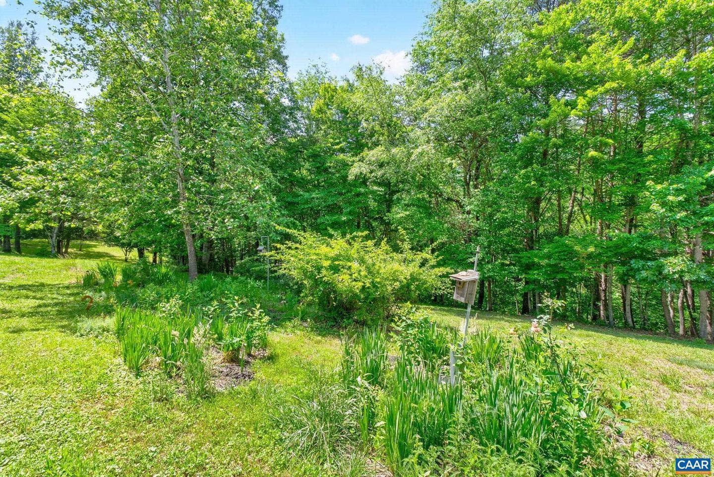 3403 Meadow Wood Ln photo 44