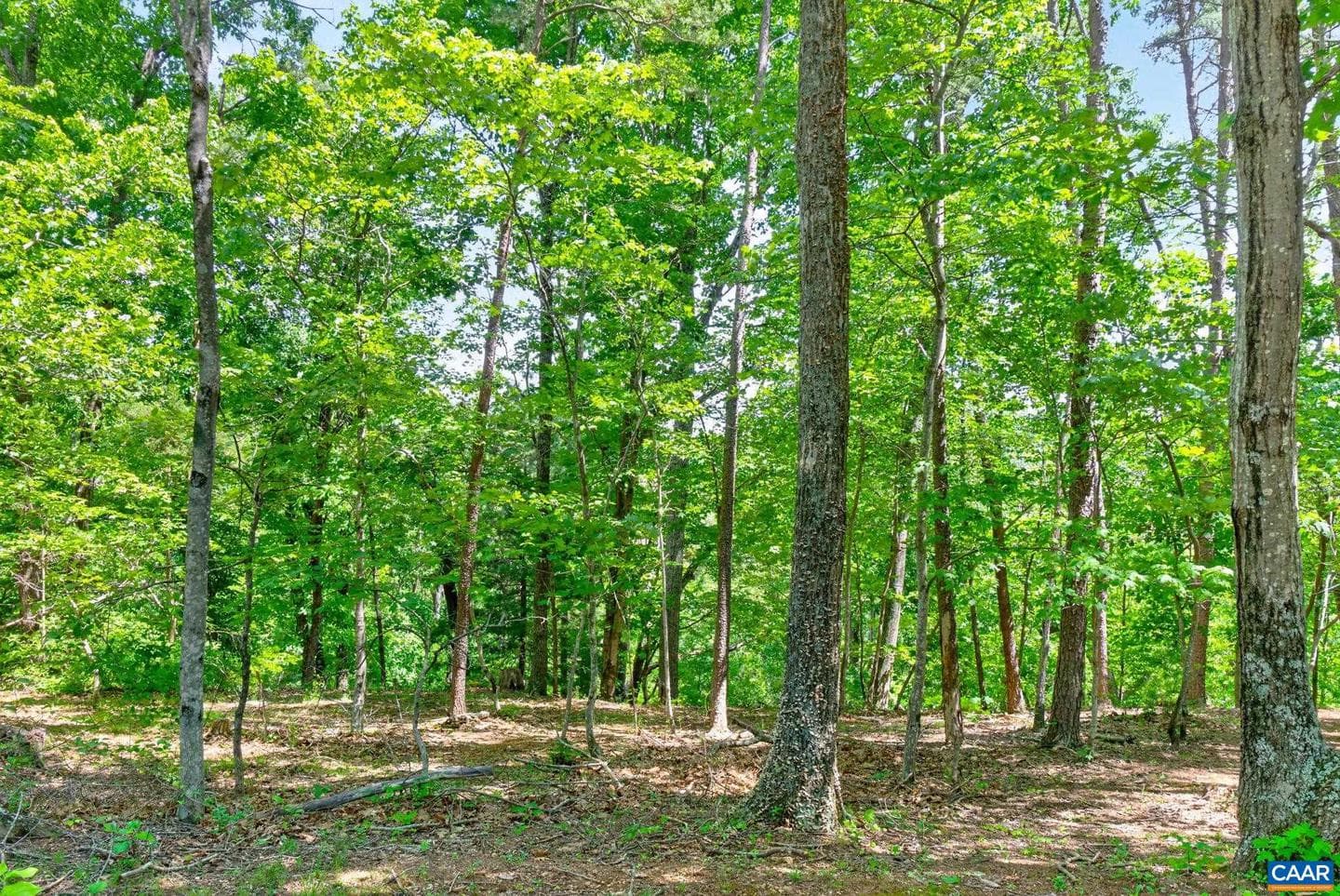 3403 Meadow Wood Ln photo 47