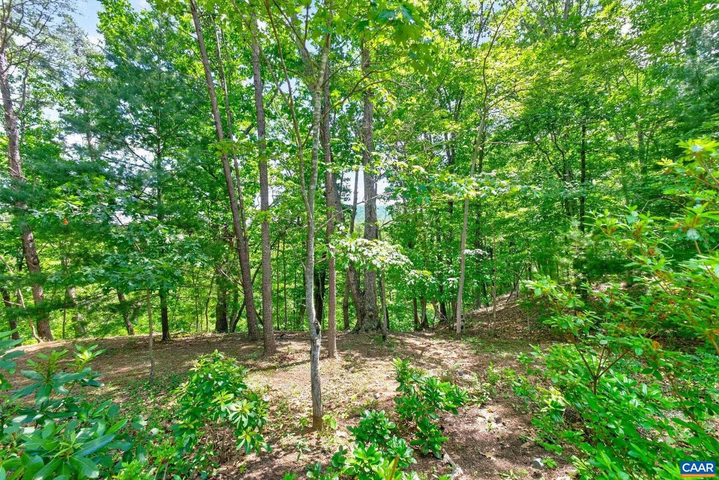3403 Meadow Wood Ln photo 48