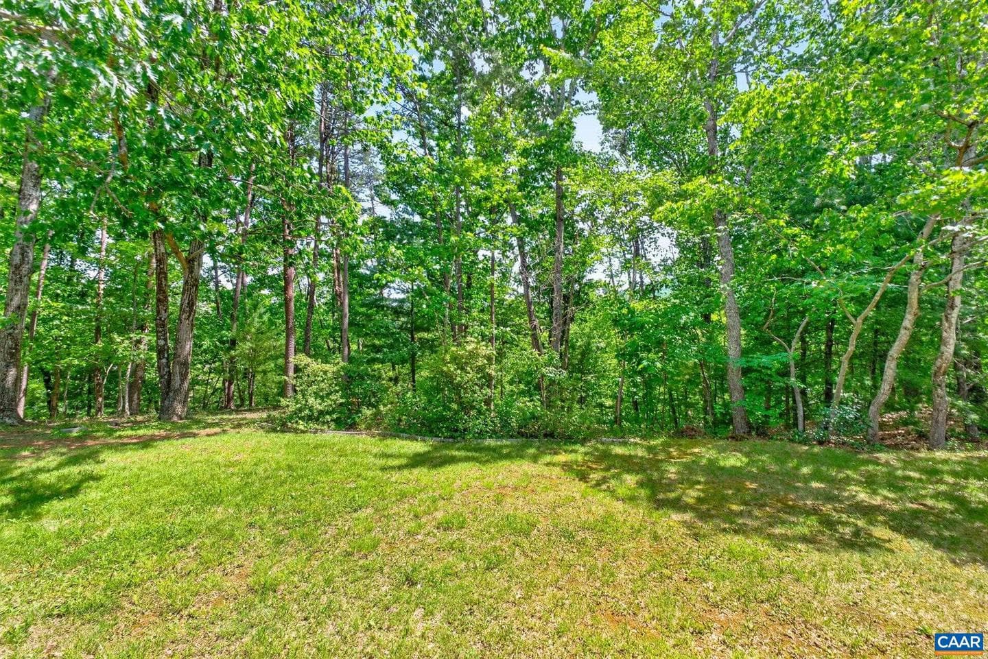 3403 Meadow Wood Ln photo 49