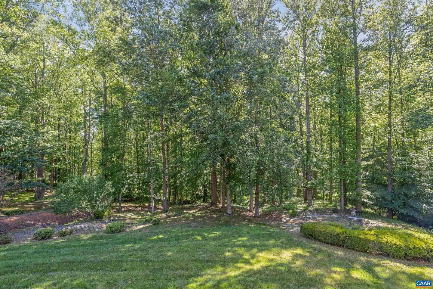 985 Tanglewood Rd photo 5