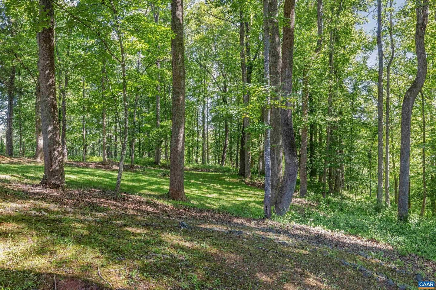 985 Tanglewood Rd photo 71