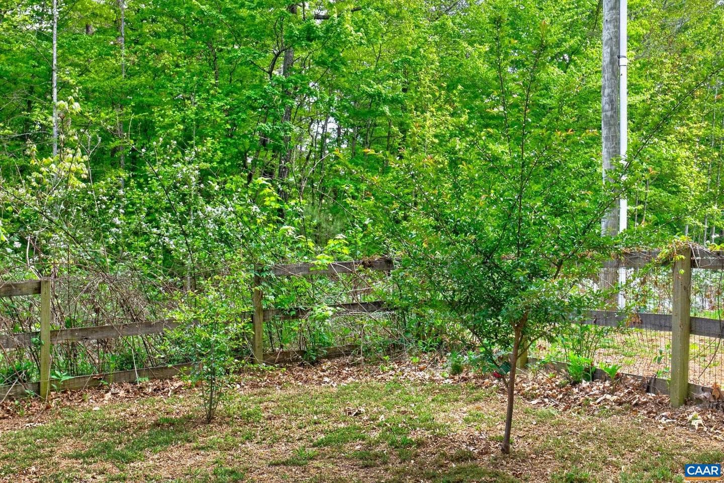122 Mistie Ridge Ln photo 38