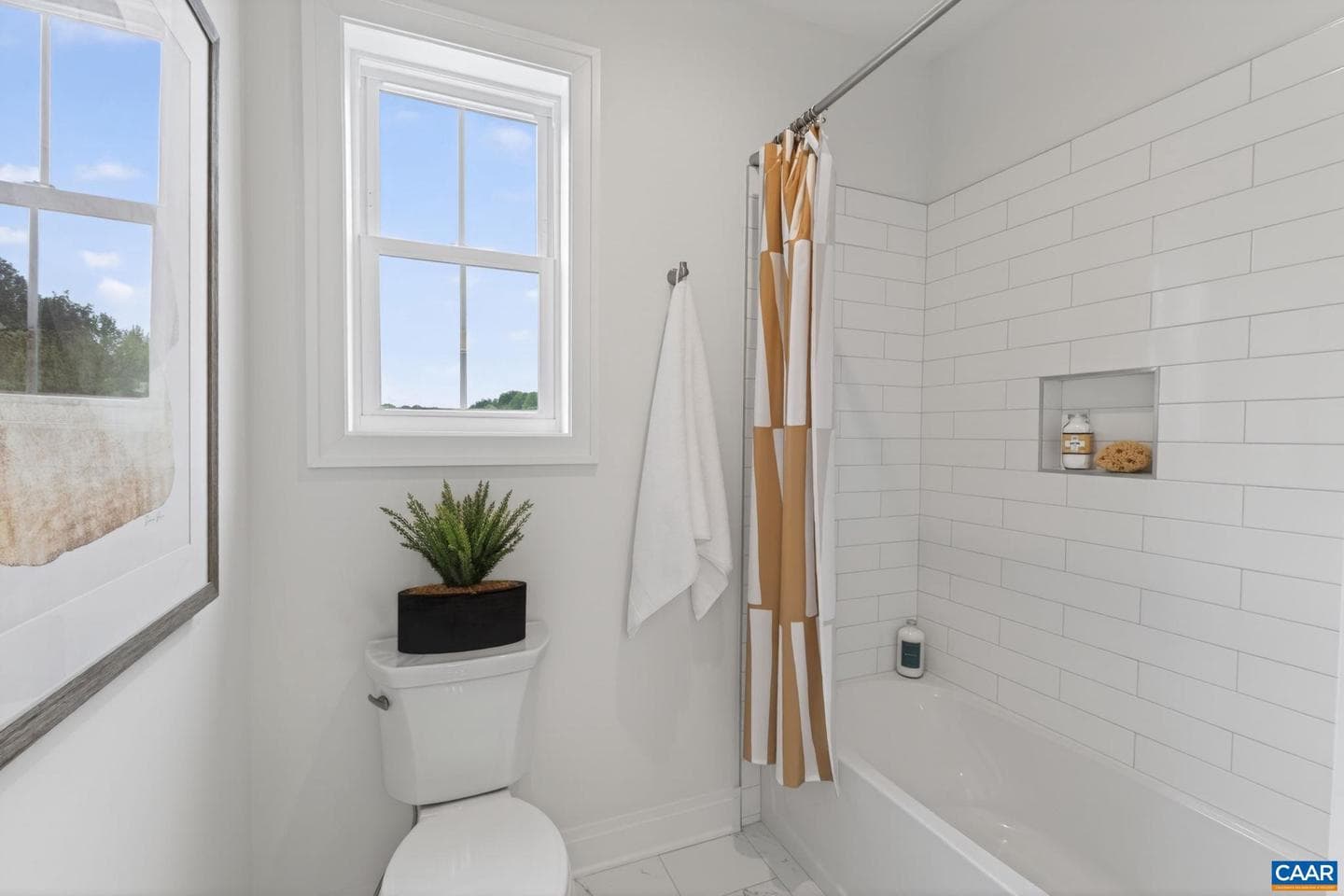 9 Coleman Dr photo 18