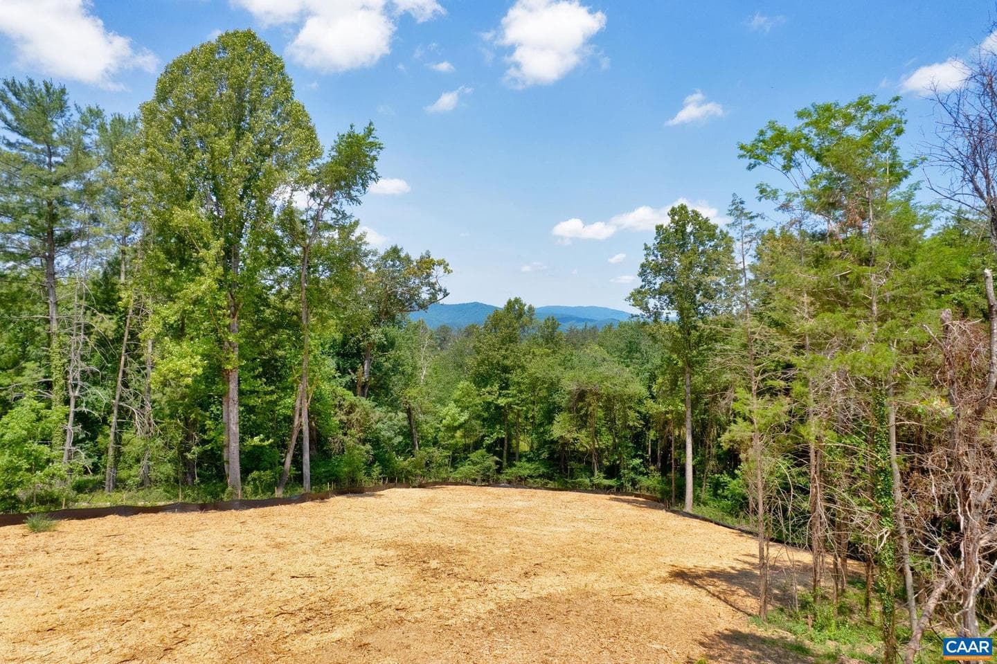 1 Buck Mountain Rd #lot 1 photo 39