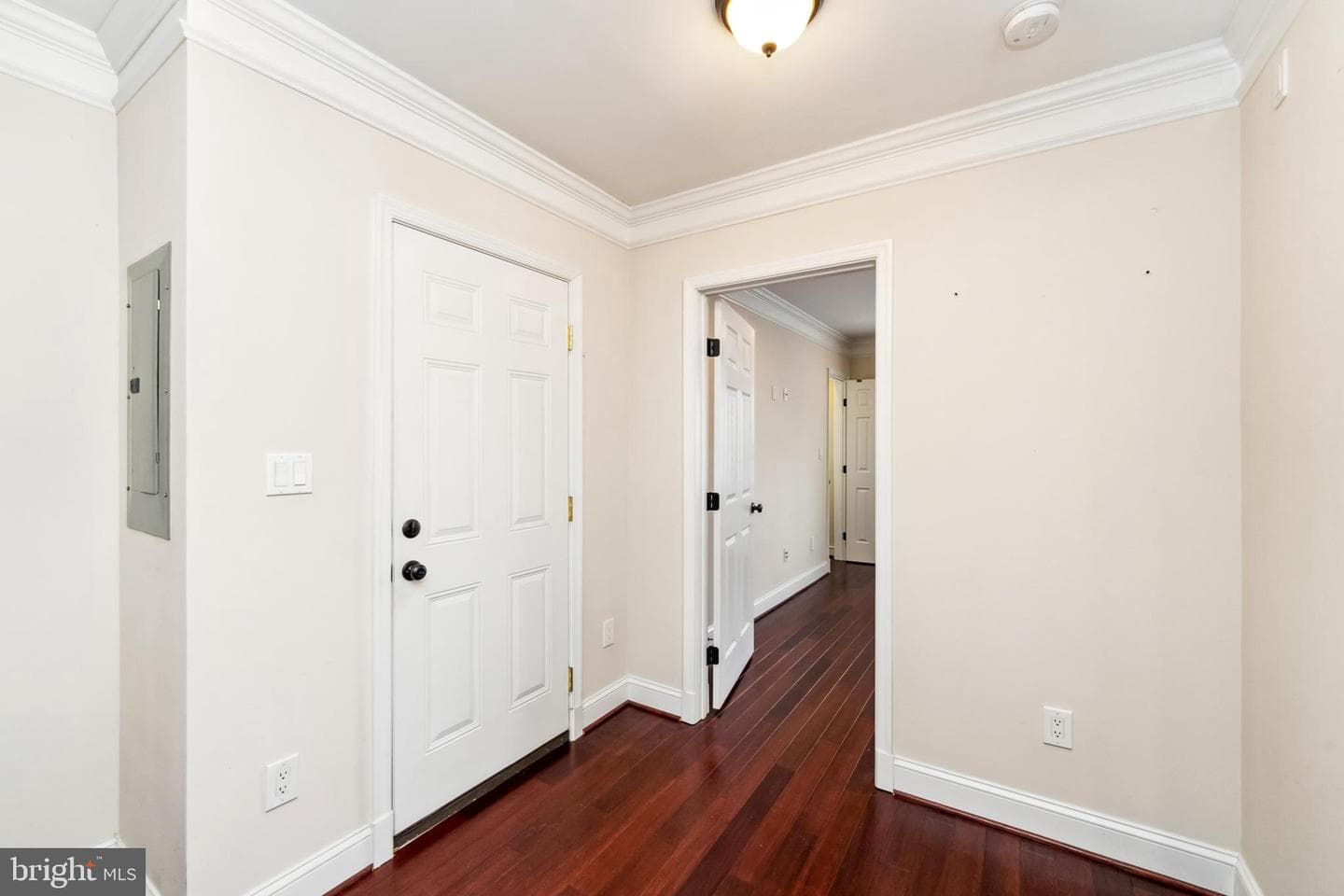 421 Evarts Street NE #3 photo 16