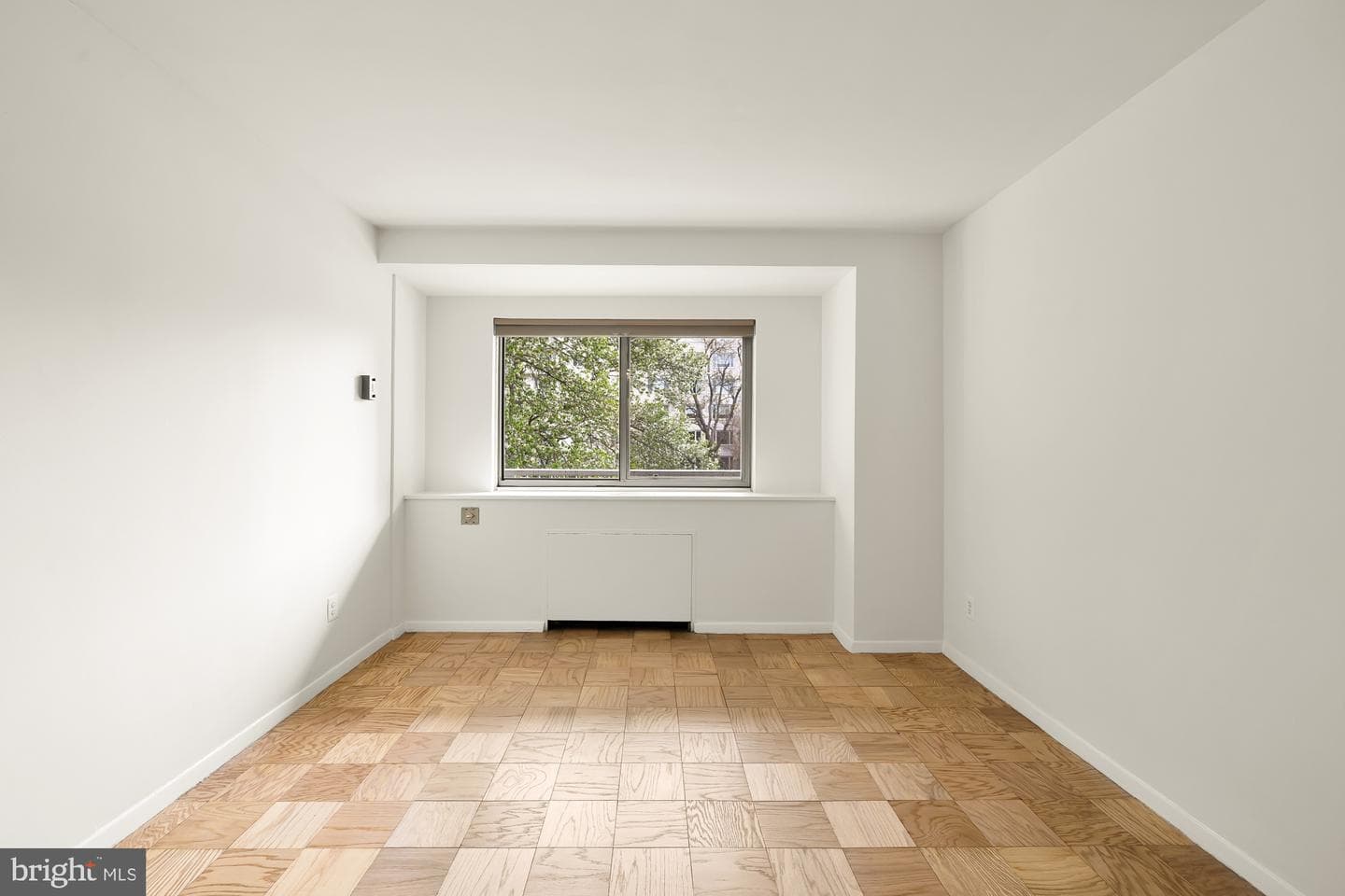 730 24th Street NW #203 photo 18