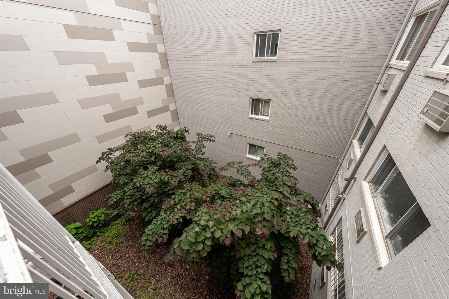 1420 Clifton Street NW #302 photo 27