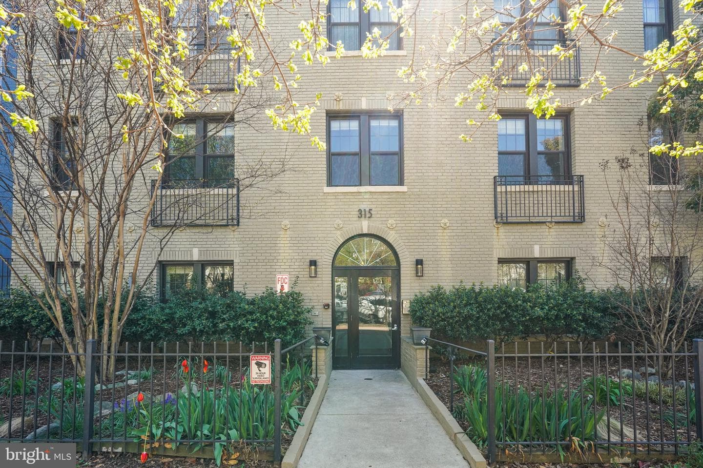315 G Street NE #204 photo 1