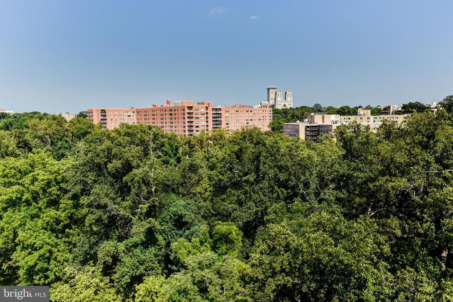 4201 Cathedral Avenue NW #1411e photo 1