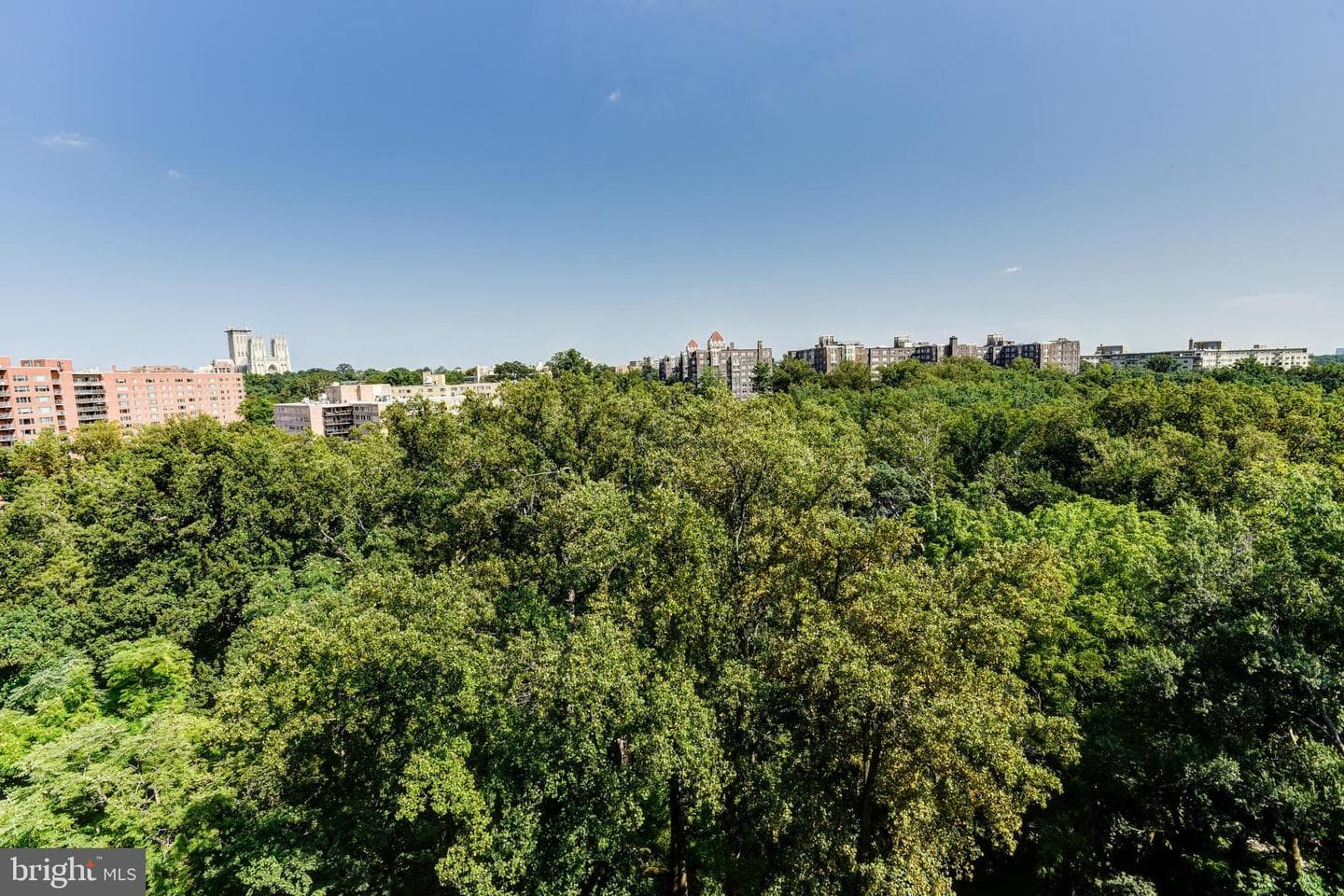 4201 Cathedral Avenue NW #1411e photo 43