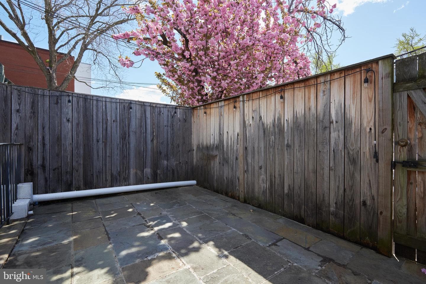1420 T Street NW #2 photo 32