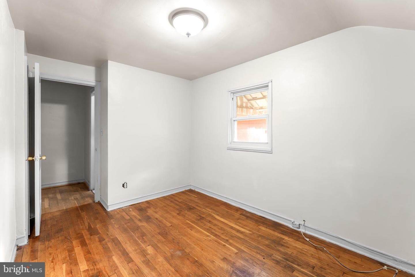 164 Elmira Street SW photo 5