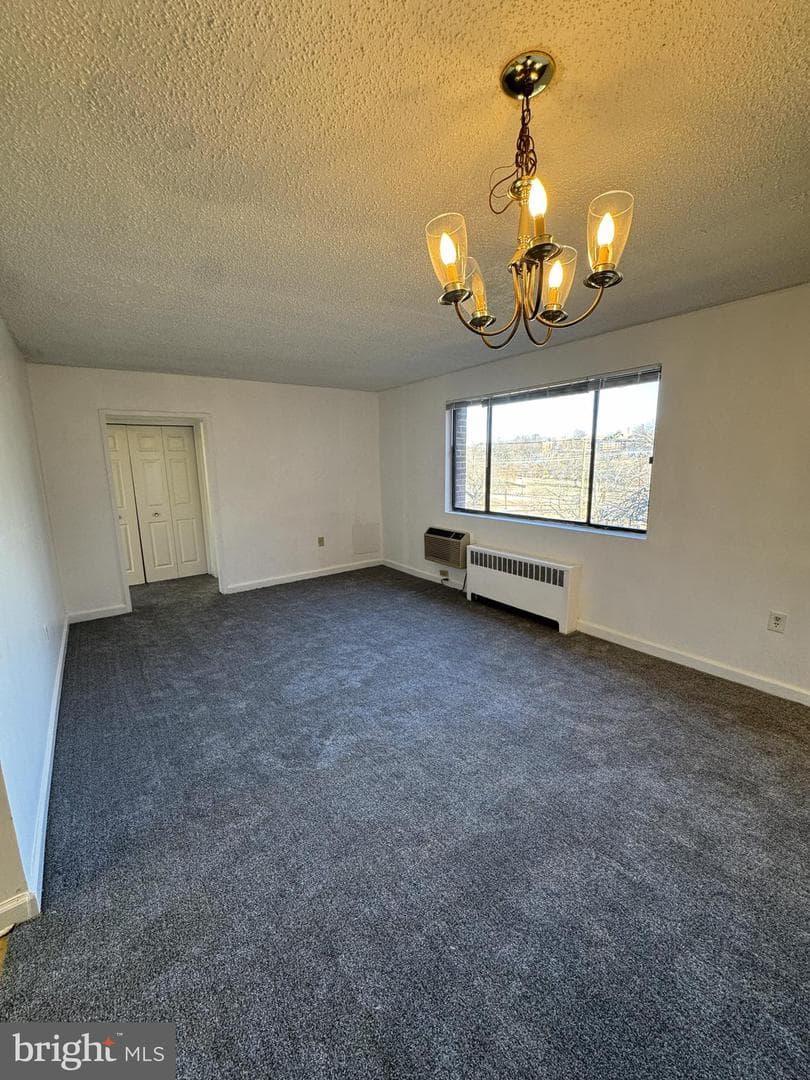 4717 1st Street SW #303 photo 3