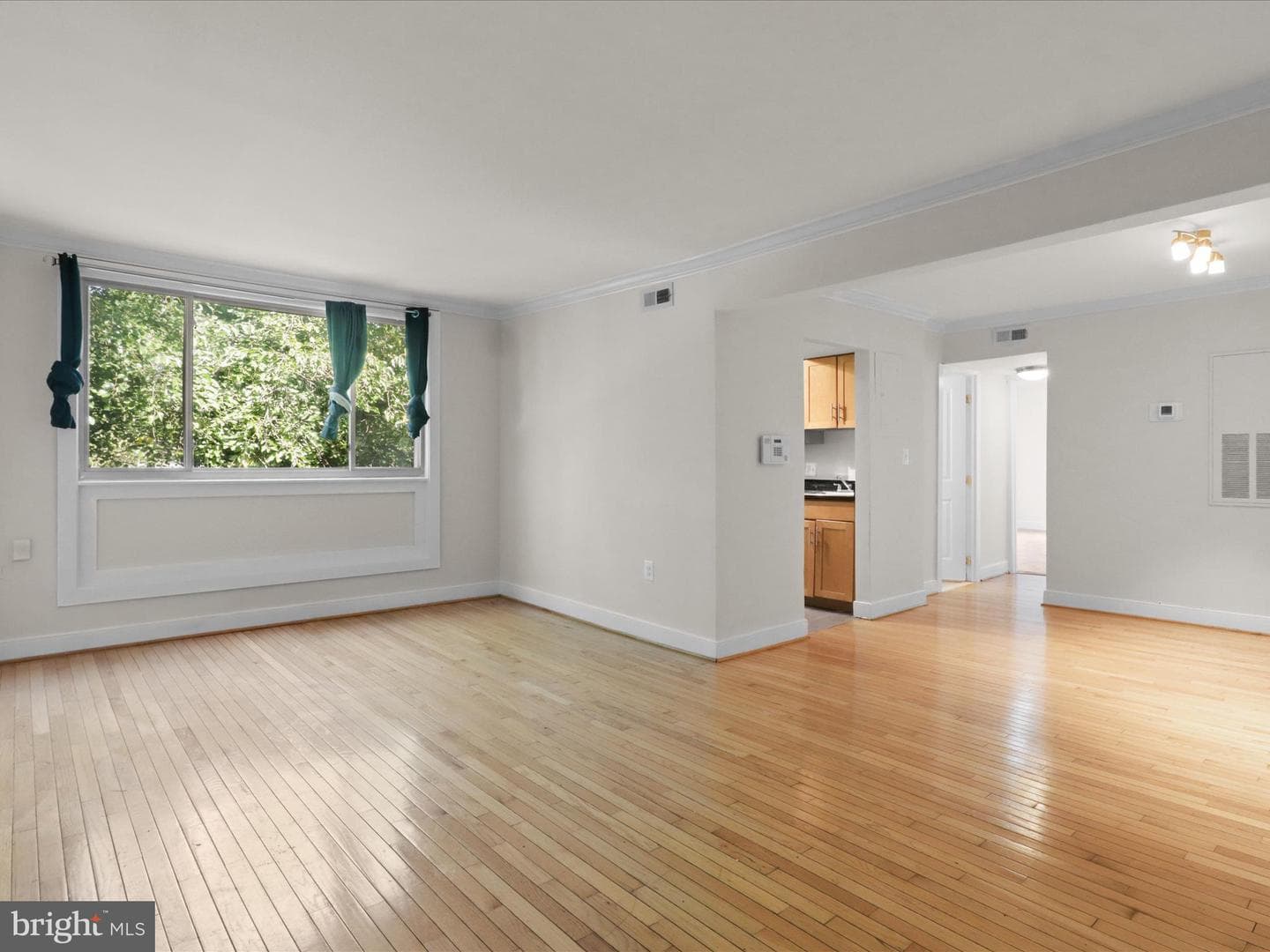 2850 Hartford Street SE #203 photo 3