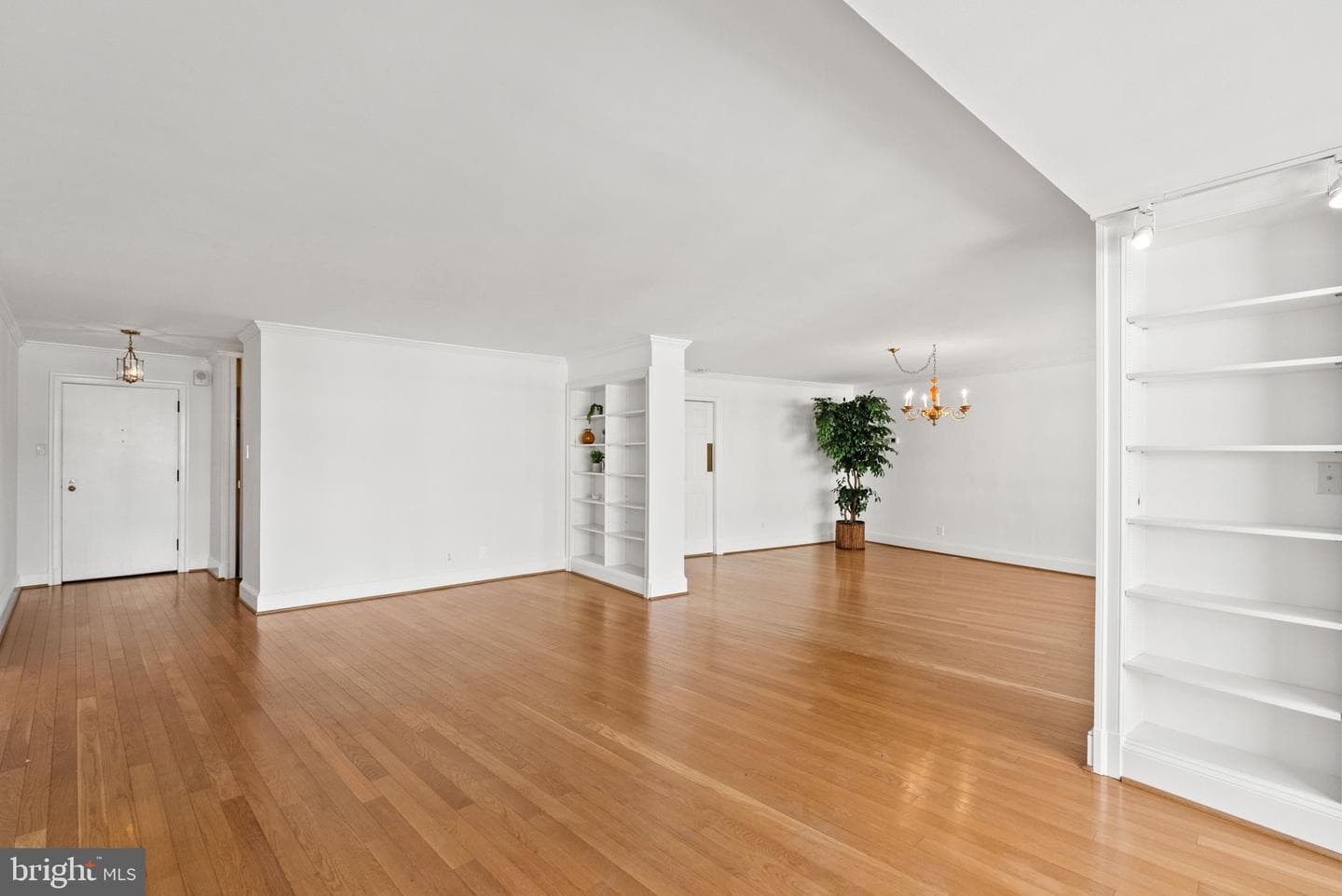 2500 Virginia Avenue NW #517-S photo 4
