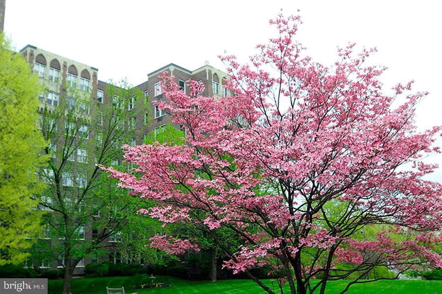 4000 Cathedral Avenue NW #208b photo 32