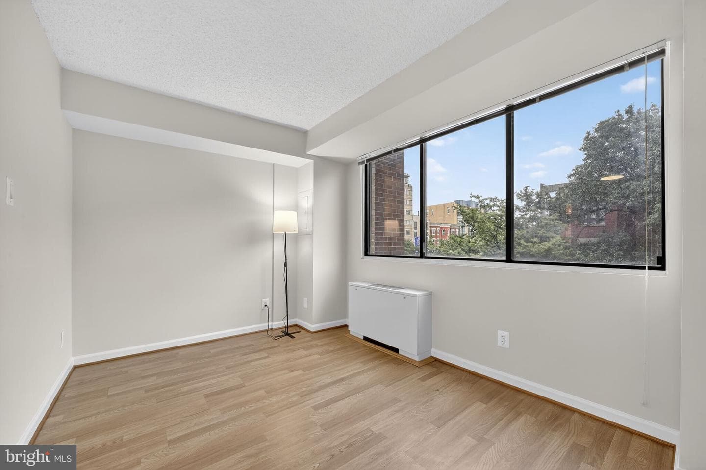 1245 13th Street NW #304 photo 2