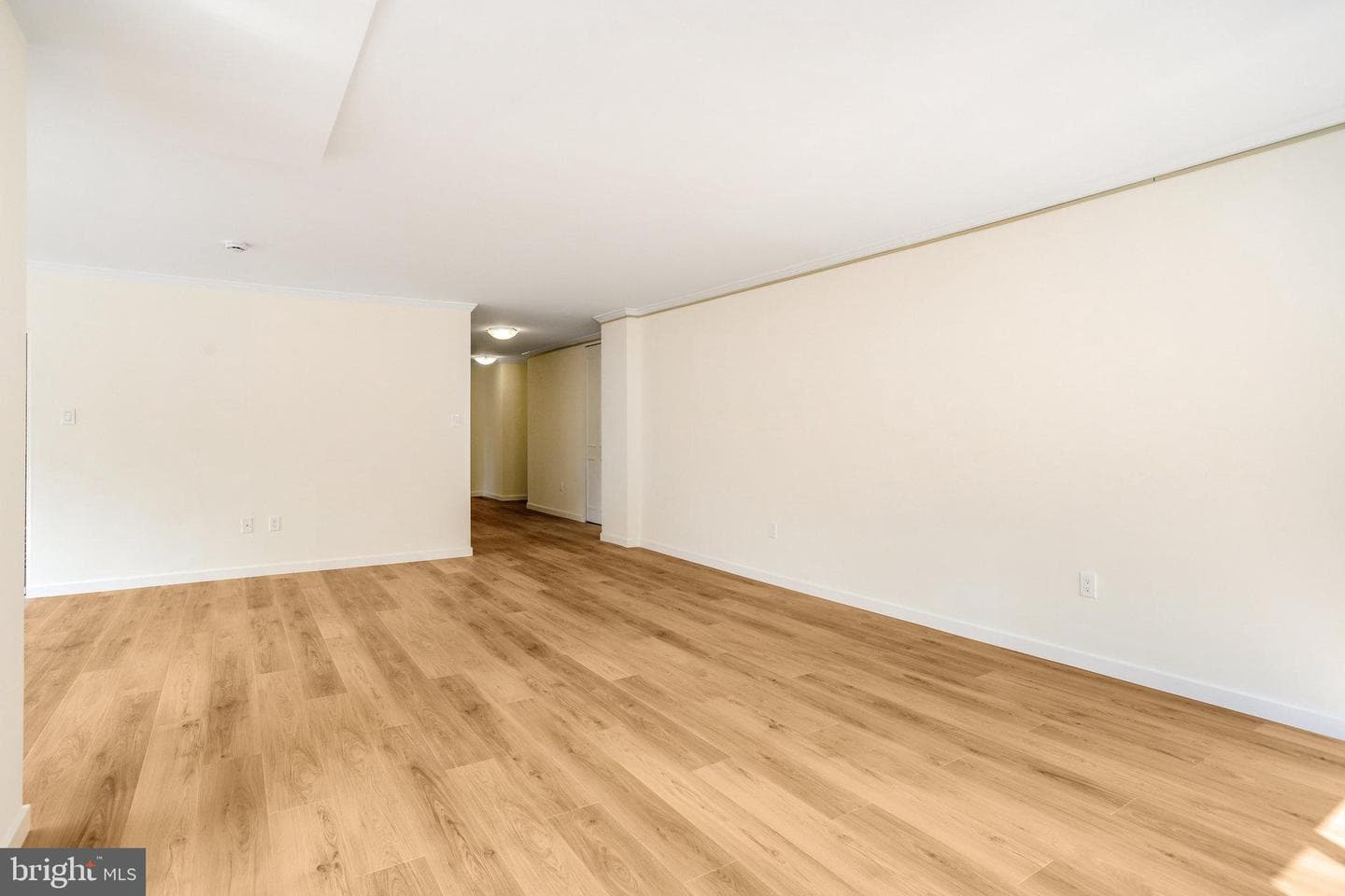 4101 Cathedral Avenue NW #711 photo 5