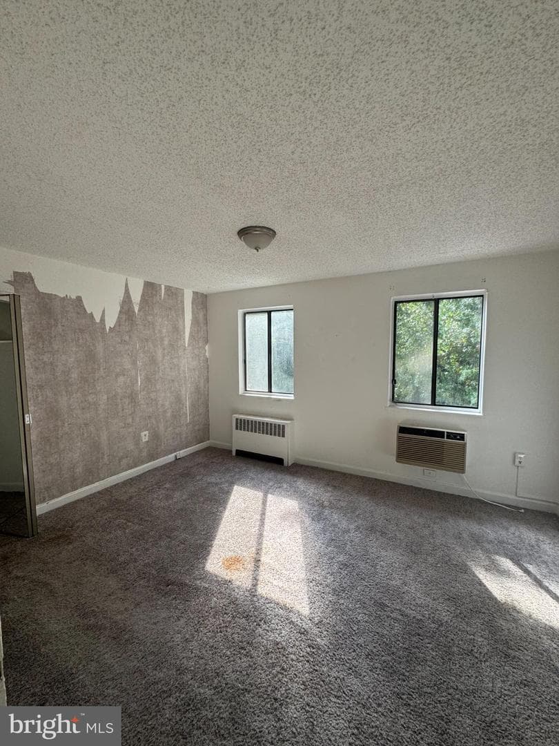 4725 1st Street SW #303 photo 8