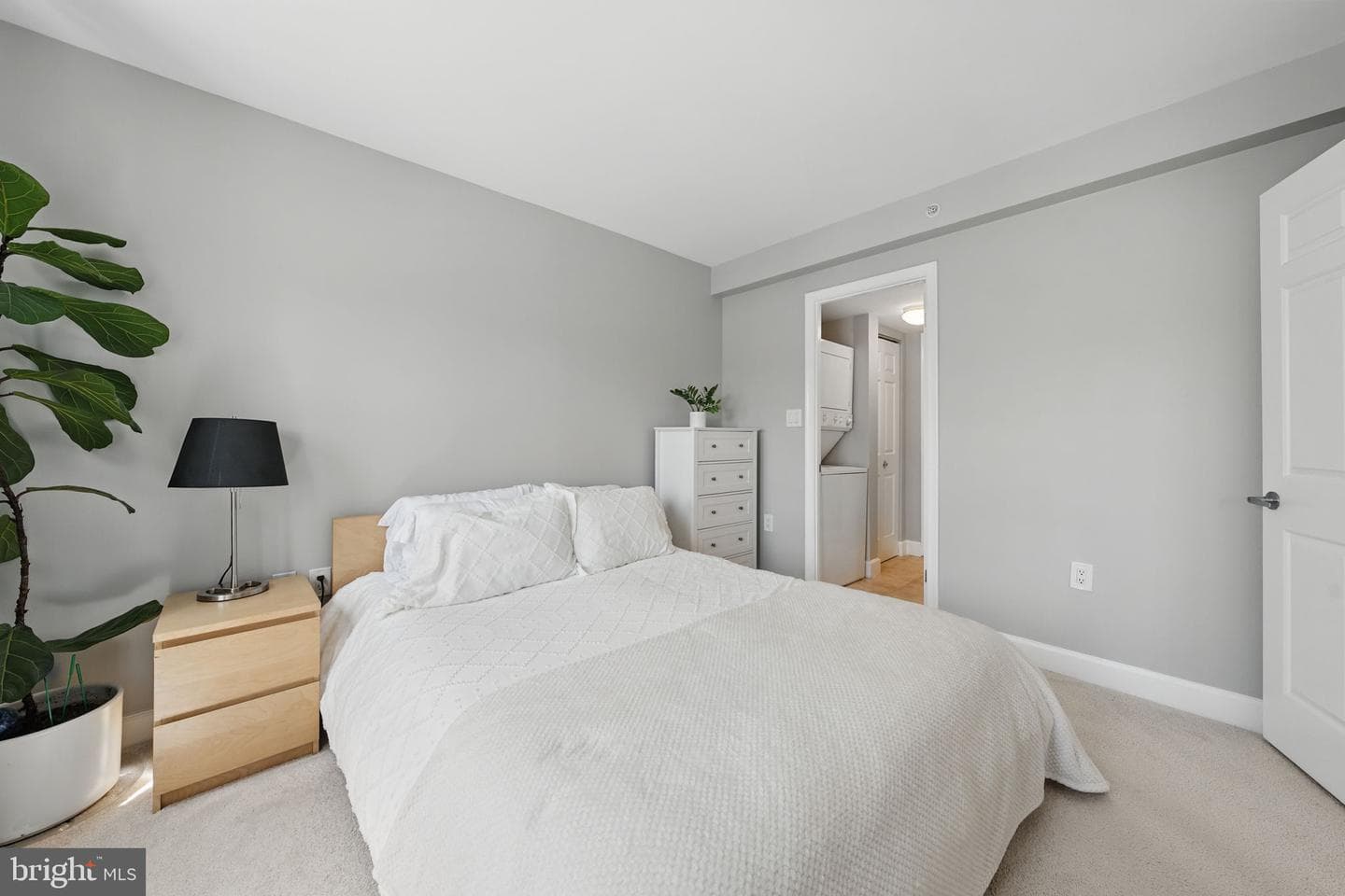 3611 38th Street NW #209 photo 10
