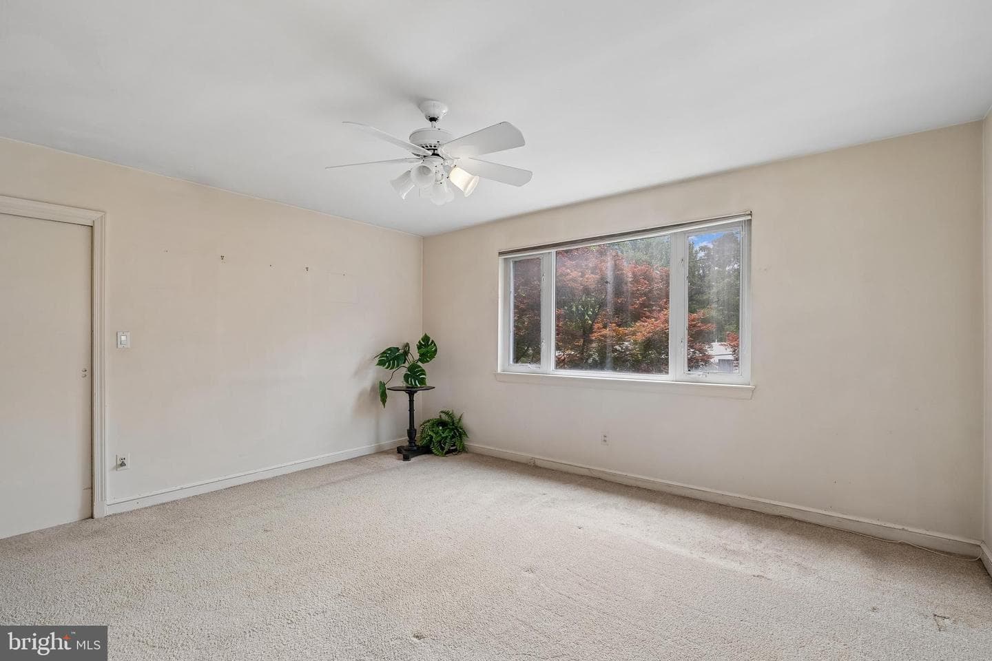 3113 Birch Street NW photo 25