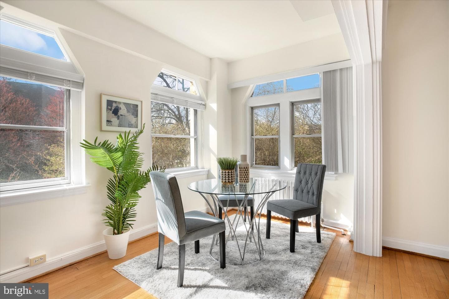 3601 Connecticut Avenue NW #122 photo 12