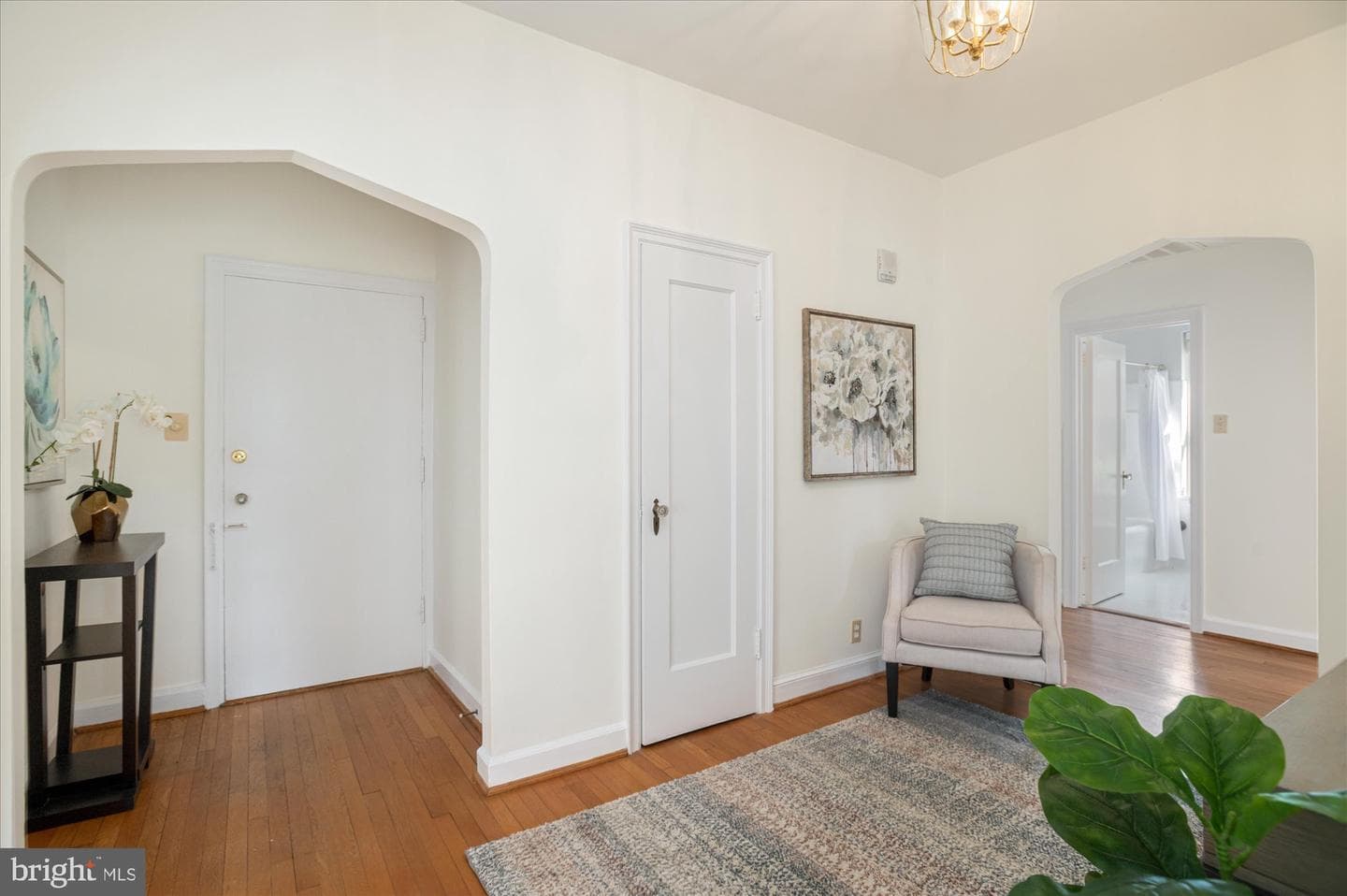 3601 Connecticut Avenue NW #122 photo 6