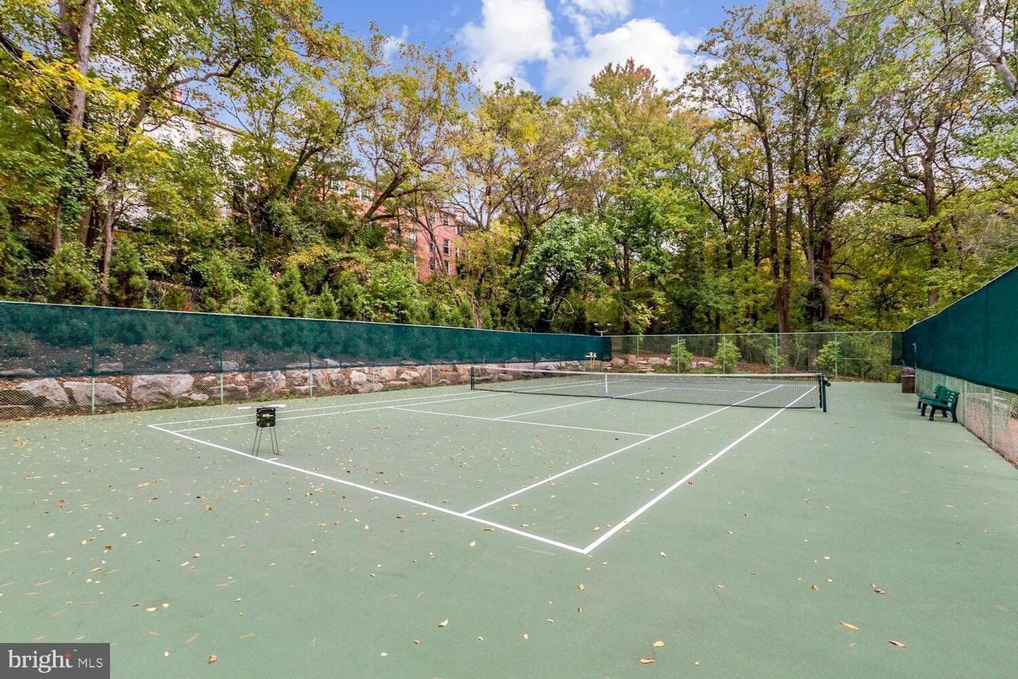 4201 Cathedral Avenue NW #601e photo 16