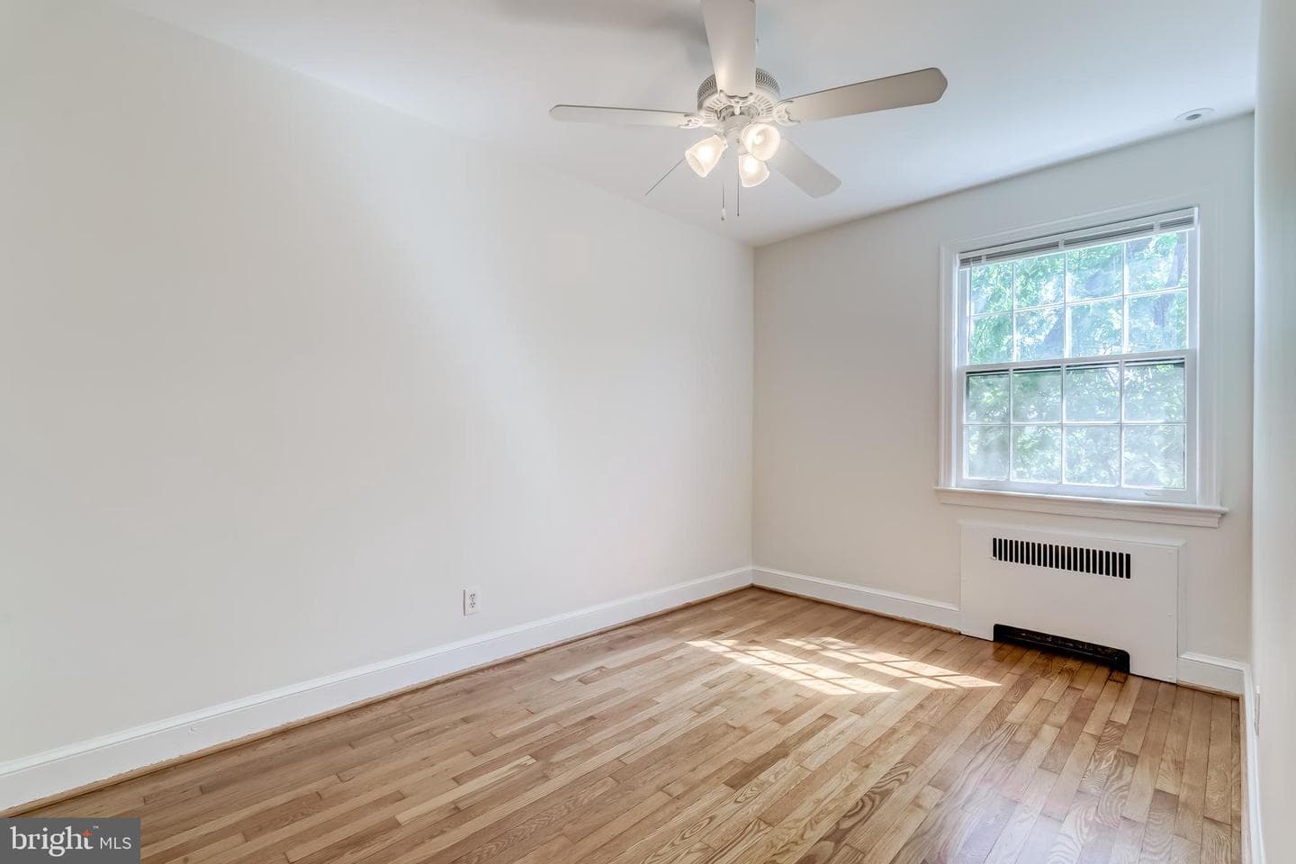2217 39th Place NW photo 14